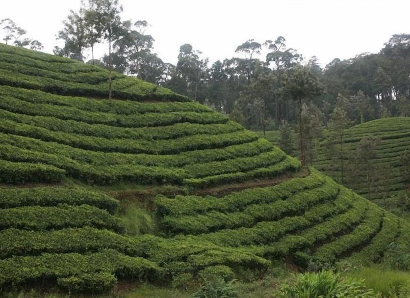 Pemandangan luar Foto