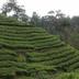 Pemandangan luar