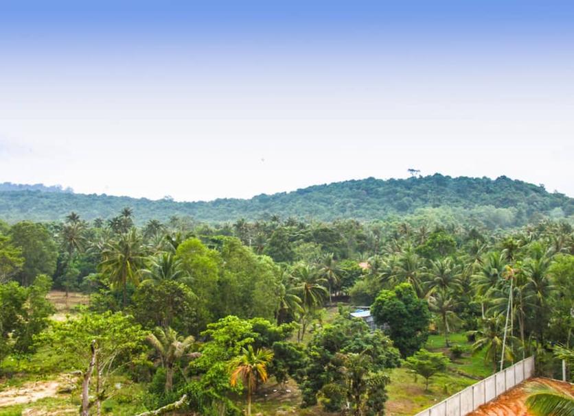 Pemandangan luar Foto