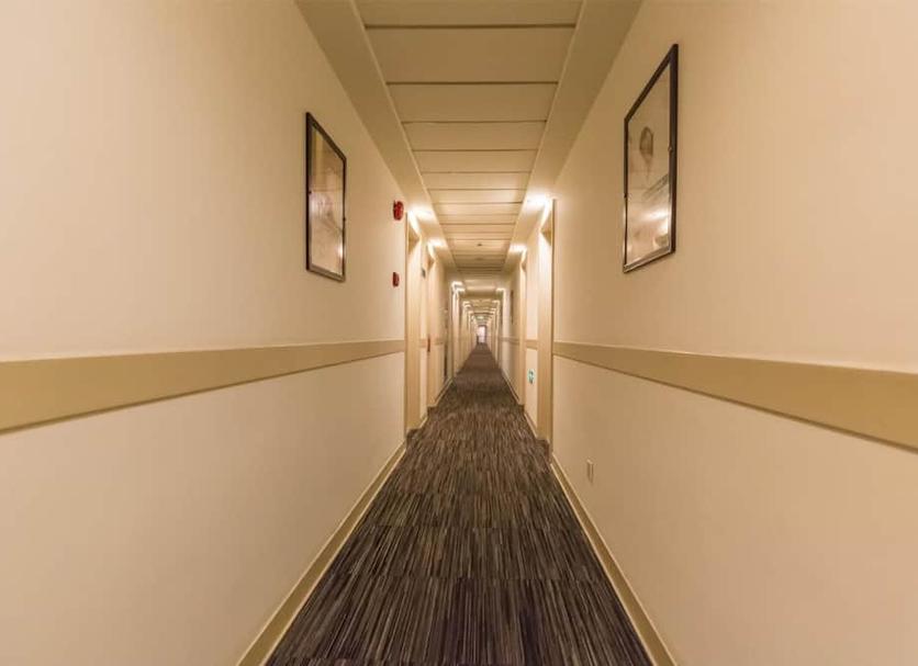 Lorong Foto