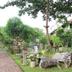Pemandangan luar