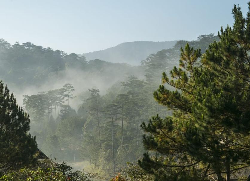 Pemandangan luar Foto
