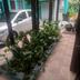 Pemandangan luar