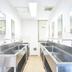 Dapur