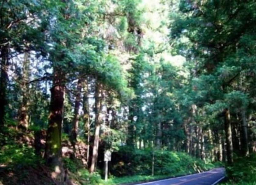 Pemandangan luar Foto