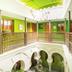 Lorong