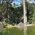 Pemandangan luar