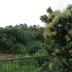 Pemandangan luar