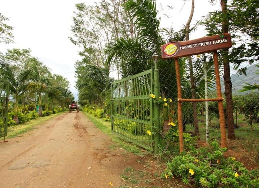 Pemandangan luar Foto