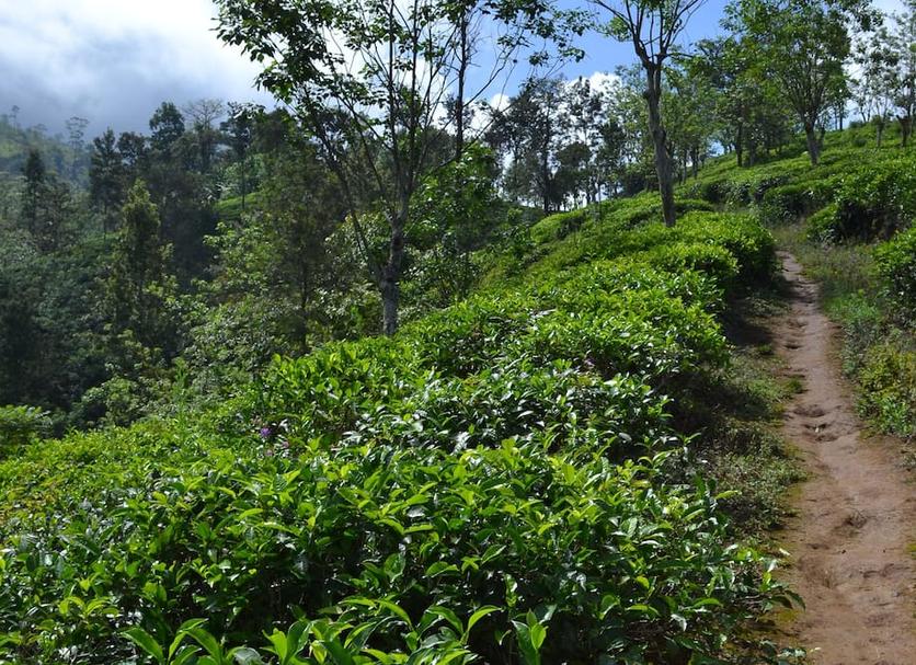 Pemandangan luar Foto