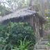 Pemandangan luar