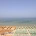 Pantai