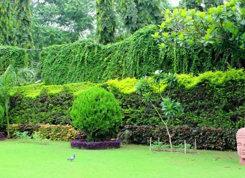Pemandangan luar Foto