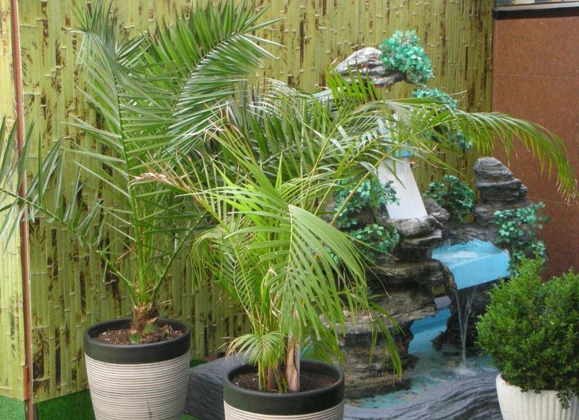 Pemandangan luar Foto