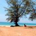 Pantai