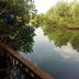 Pemandangan luar