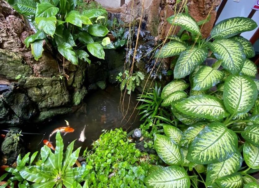 Pemandangan luar Foto