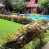 Kolam