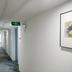 Lorong