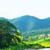 Pemandangan luar