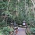 Pemandangan luar