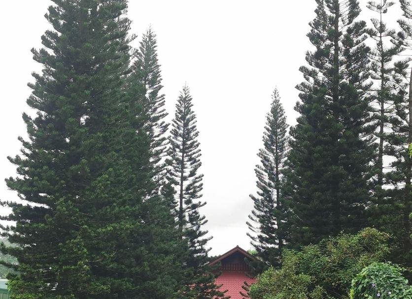 Pemandangan luar Foto