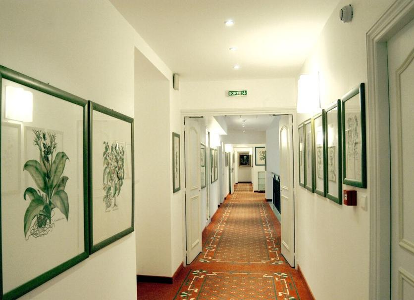 Lorong Foto