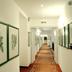 Lorong