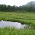 Pemandangan luar