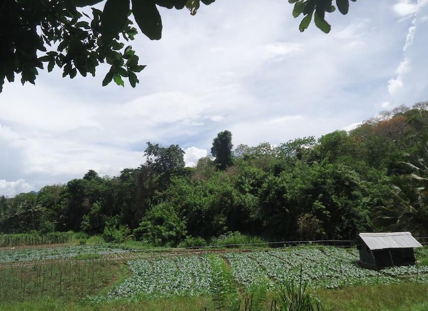Pemandangan luar Foto
