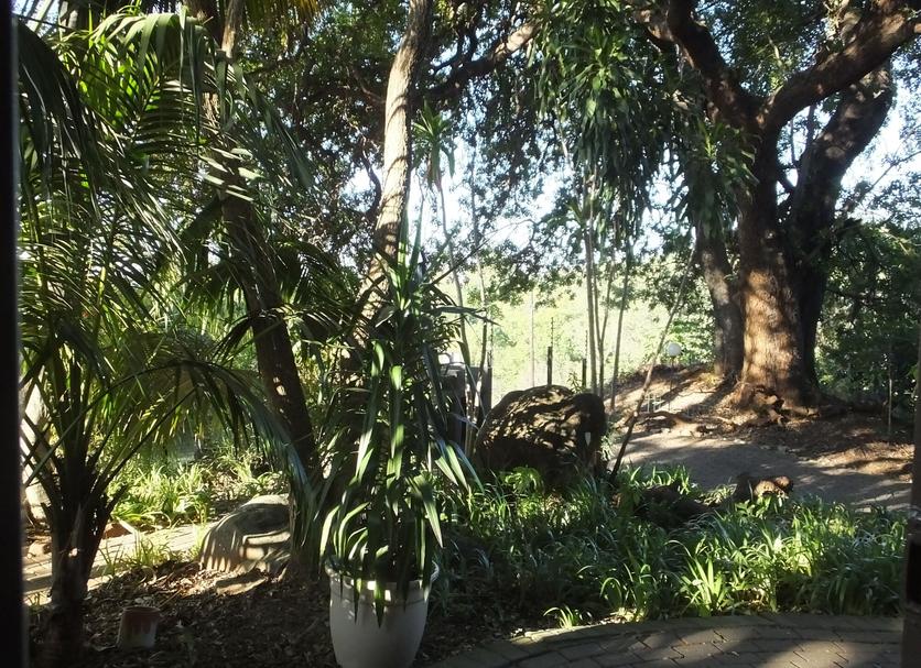Pemandangan luar Foto