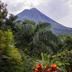 Pemandangan luar