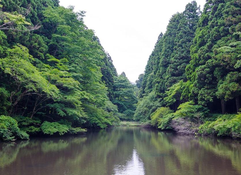 Pemandangan luar Foto