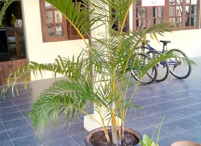 Pemandangan luar Foto