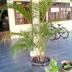 Pemandangan luar