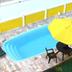Kolam
