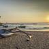 Pantai