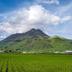 Pemandangan luar