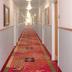 Lorong