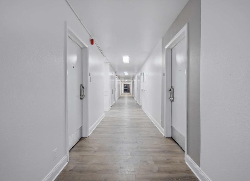 Lorong Foto