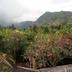 Pemandangan luar