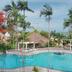 Kolam
