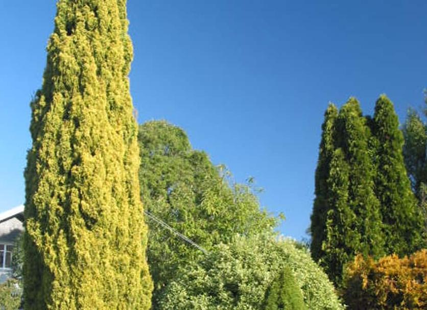 Pemandangan luar Foto