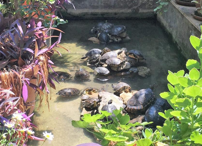 Pemandangan luar Foto
