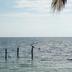 Pantai