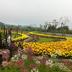 Pemandangan luar