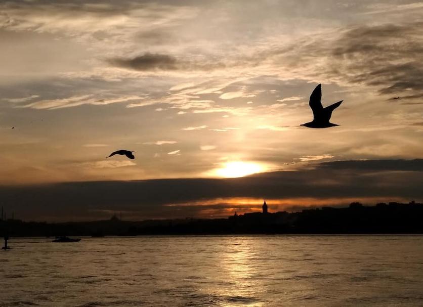 Pemandangan luar Foto