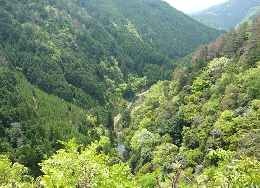 Pemandangan luar Foto