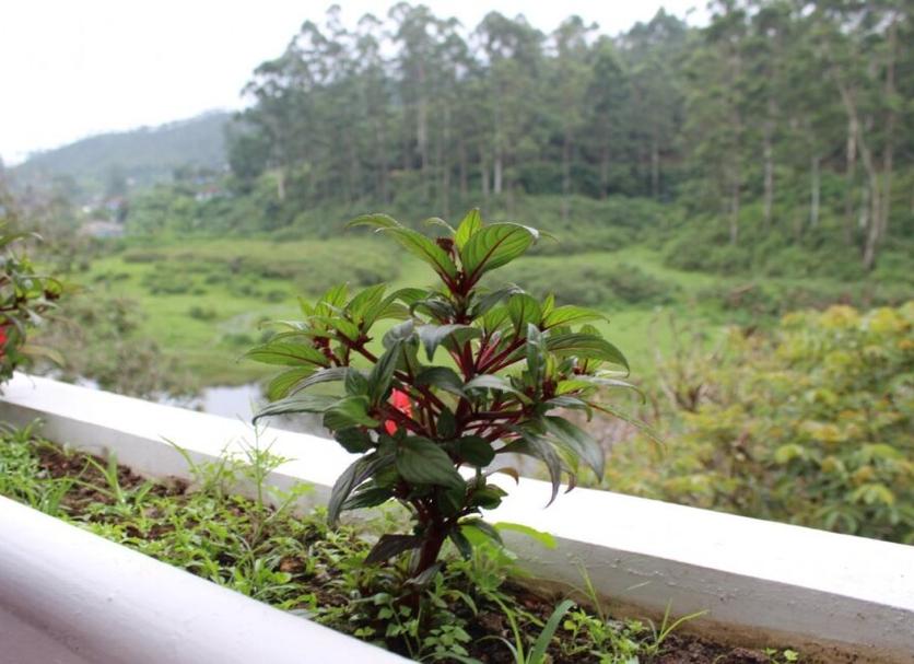 Pemandangan luar Foto