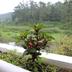 Pemandangan luar